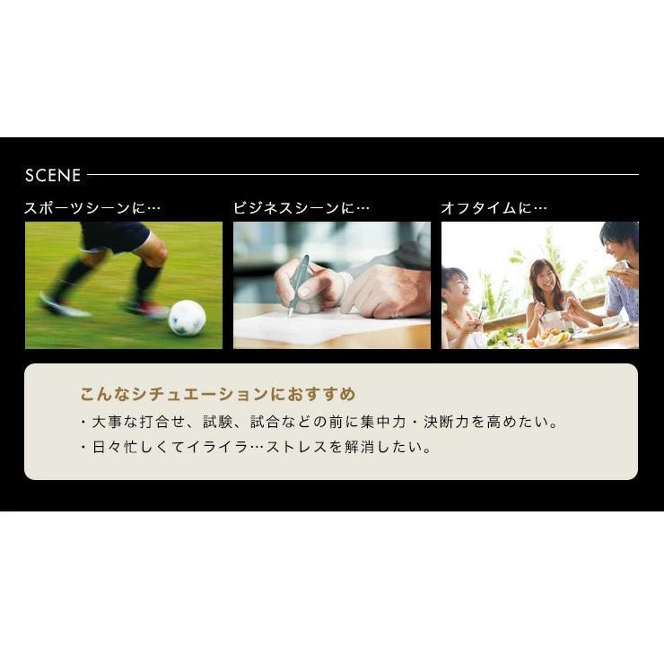 ReFa リファアクティブ ブレイン MTG ACTIVE BRAIN RF-AB1939B 1 ReFa リファアクティブ ブレイン MTG ACTIVE BRAIN RF-AB1939B 1
