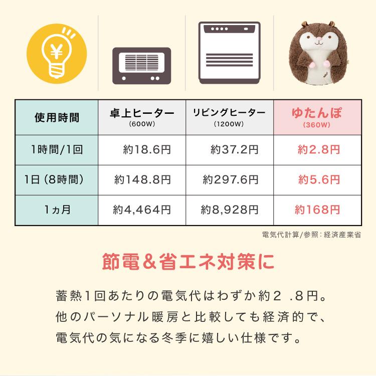 THREEUP（スリーアップ） 蓄熱式湯たんぽ ぬくぬく ハグ 電気湯たんぽ