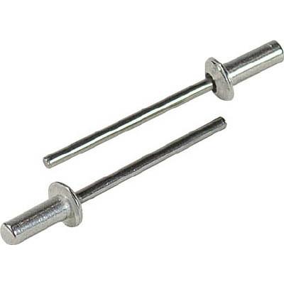 エビ ブラインドリベットシールドタイプ 1000本 アルミ／スティール6−4 NSA64C ファスニングツール・ブラインドリベット