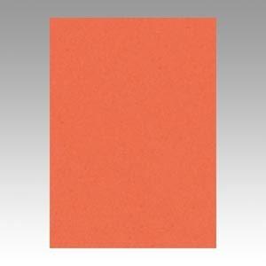 （業務用セット） 文運堂 ニューカラーR 四ツ切 横392×縦542mm 4NCR-213 だいだい 100枚入 〔×2セット〕 代引不可