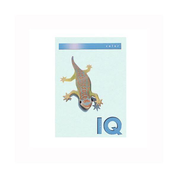 （業務用セット） 伊東屋 バイオトップカラー A4判 250枚入 160g／m2 BT807 ブルー 〔×2セット〕 代引不可