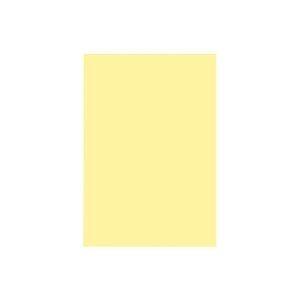 (業務用300セット) ジョインテックス 色画用紙/工作用紙 〔八つ切り 10枚×300セット〕 クリーム P148J-16 代引不可