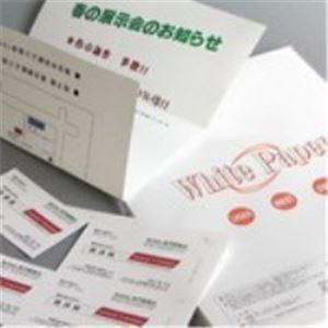 (業務用30セット) Nagatoya ホワイトペーパー ナ-014 厚口 A3 100枚 代引不可