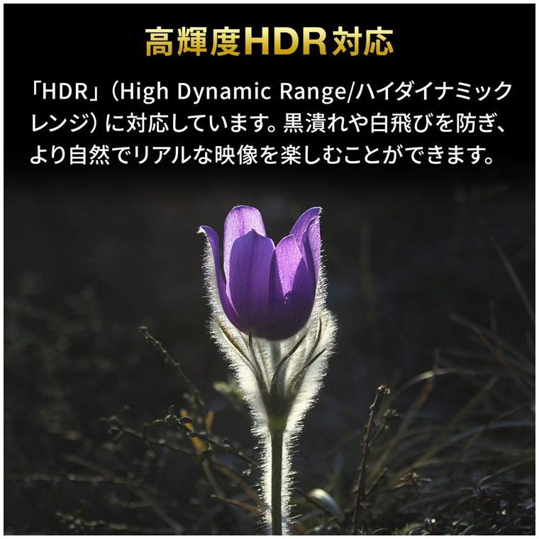 サンワサプライ メーカー直送 4K・HDR・HDCP2.2対応HDMI切替器 双方向切替に対応 4K/60Hz/HDR対応 HDMI手動切替器 双方向対応HDMI切替器 高輝度HDR 代引不可｜rcmdse｜11