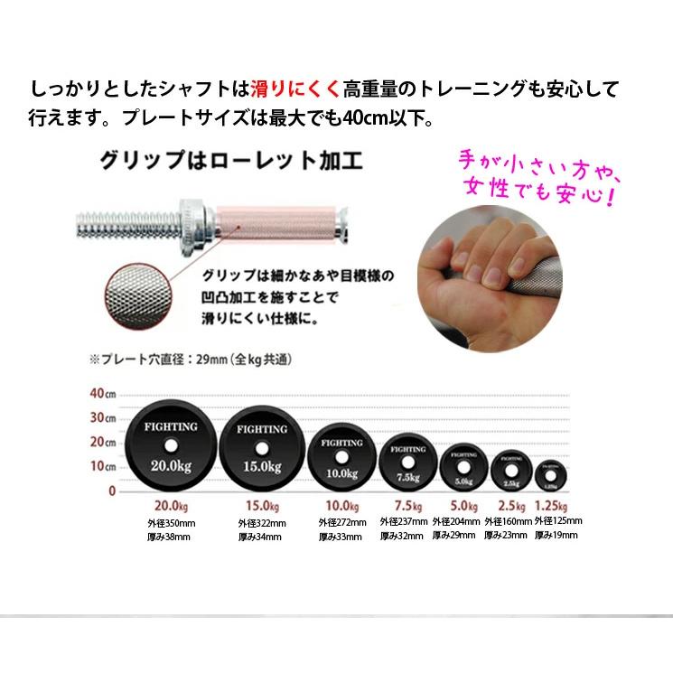 ファイティングロード ラバー付 バーベル 10kg×2枚 合計約20kg set755-20_19fd6fca-c0ec-4df2-