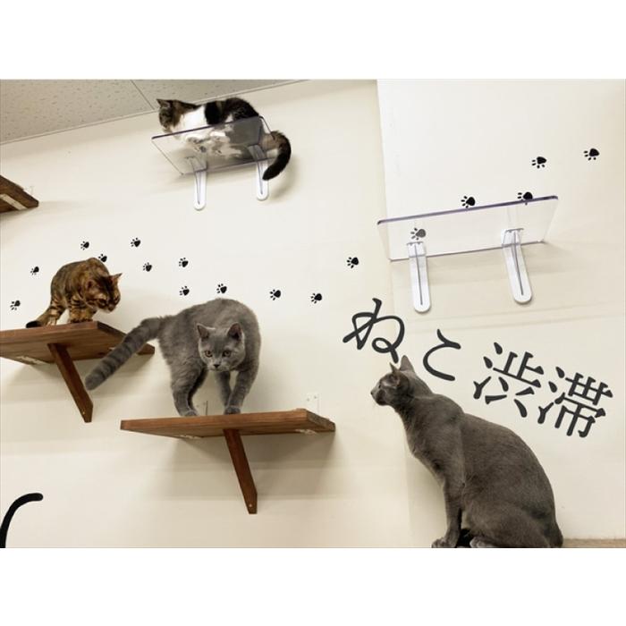 タカラ産業　キャットステップ(平面用) 3枚セット キャットステップ 平面用 3枚セット入 PC4022-3S タカラ産業