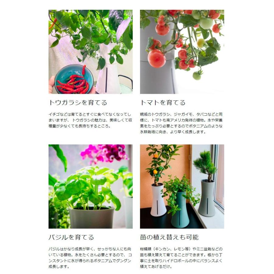 公式の スマート水耕栽培キット ボタニアム 野菜 華 花 植物 飼育 部屋 家 料理 育てる 栽培 花瓶 植木 植木鉢 おしゃれ スマート 人気満点 Southpointbd Com
