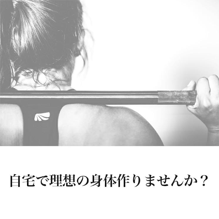 公式販売店 ファイティングロード バーベルセット 70kg プレート 10枚 バー シャフト ベンチプレス 自宅 女性 ファイティングロード 筋トレ トレーニング ファイティングロード 5kg×2枚