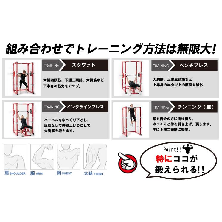 ファイティングロード Trust パワーラック FIGHTING ROAD ファイティングロード パワーラック TRUST FIGHTING