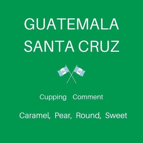 自家焙煎 コーヒー豆 グアテマラ アンティグア サンタクルス 農園 100g |  | 01