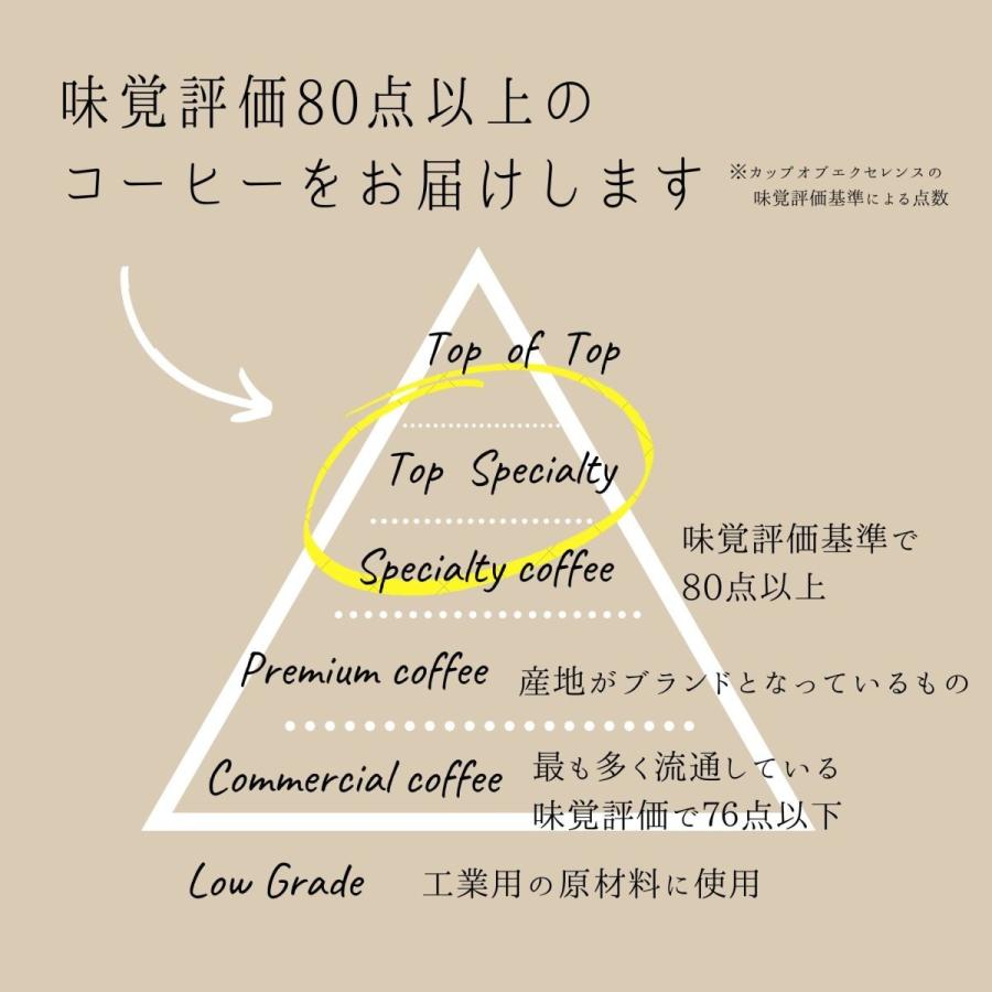 自家焙煎 コーヒー豆 グアテマラ アンティグア サンタクルス 農園 100g |  | 03