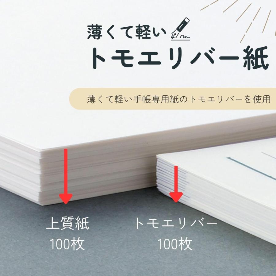 レイメイ藤井 26ダ・ヴィンチ A5 2デイズ DAR2644 【全国送料無料