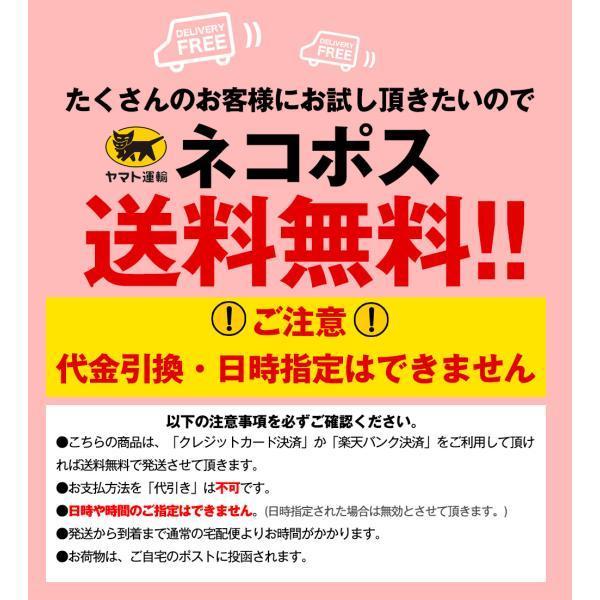 ジャージパンツ gerry アイスマックスパンツ 暑さ対策グッズ 長ズボン 接触冷感 トレーニング ウェア アウトドア スポーツパンツ ジェリー ブランド メンズ｜re-ap｜16