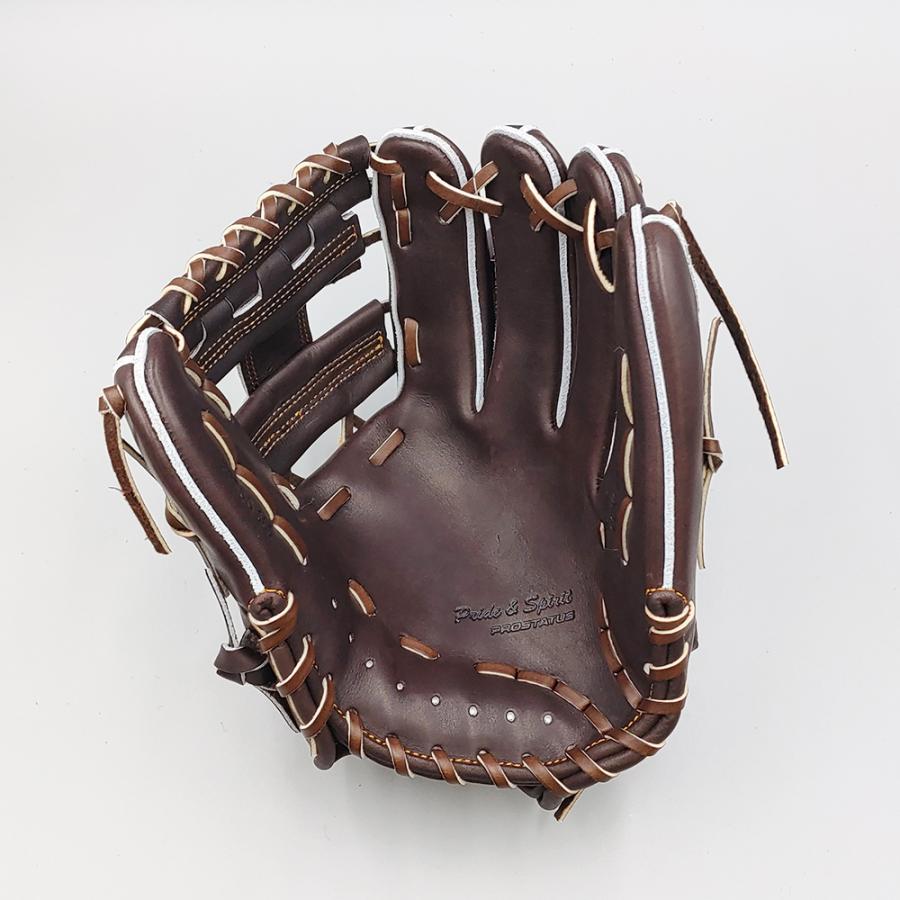 ゼット（ZETT） 【新品 (高校野球対応)】 ゼット 硬式グローブ / 内