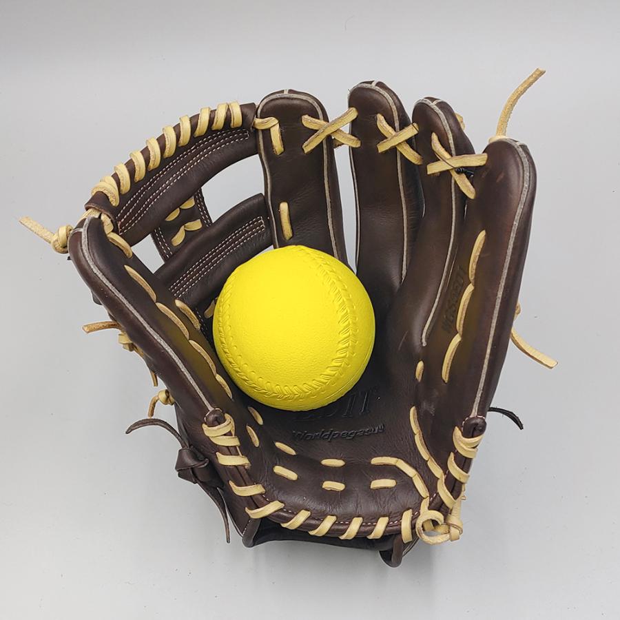 ワールドペガサス（WORLD PEGASUS） 【クリーニング済み 】 ソフト