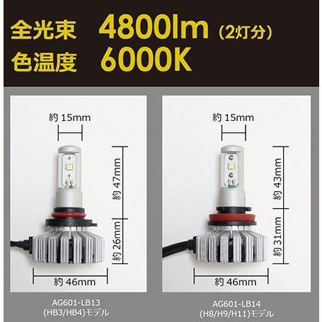 エルトLEDヘッド＆フォグライトバルブ(HB3/HB4) 6000ケルビンAG601 