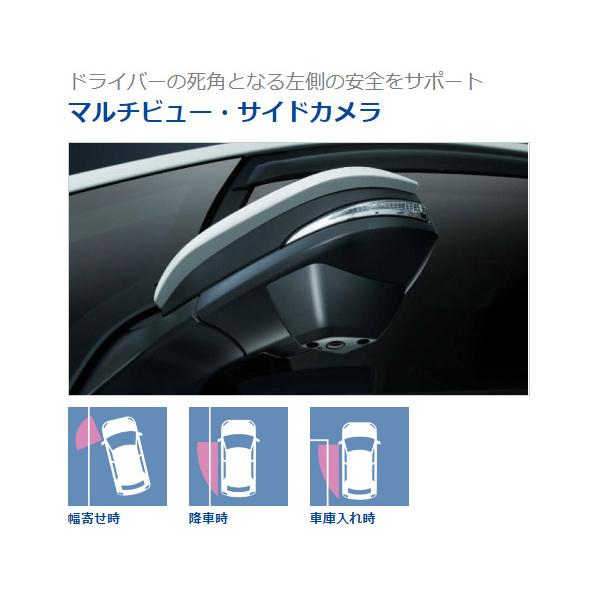 ALPINE（アルパイン） 【取寄商品】アルパインPKG-SF25N2-NVE