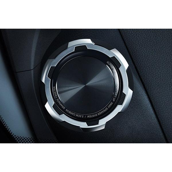 ALPINE（アルパイン） 【取寄商品】ALPINEアルパインX2-25TW-LUP-RV4