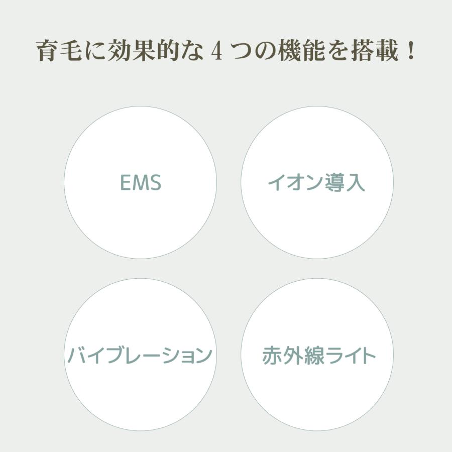 プロ仕様の育毛エステ機（電気バリブラシ）プテロへアグロ―（putelo HAIR GLOW） | putelo | 02