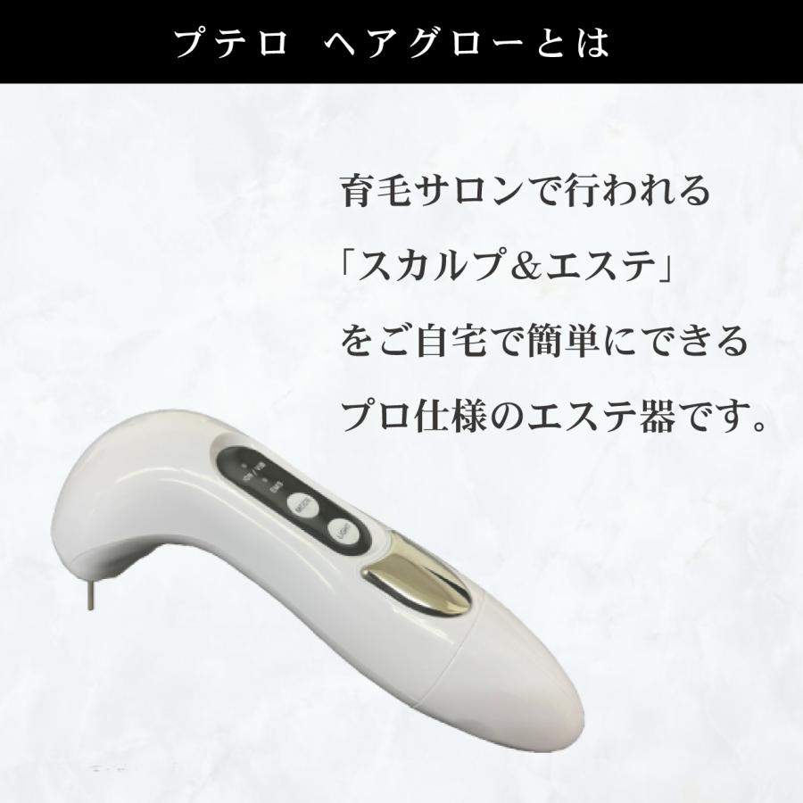 プロ仕様の育毛エステ機（電気バリブラシ）プテロへアグロ―（putelo HAIR GLOW） | putelo | 01