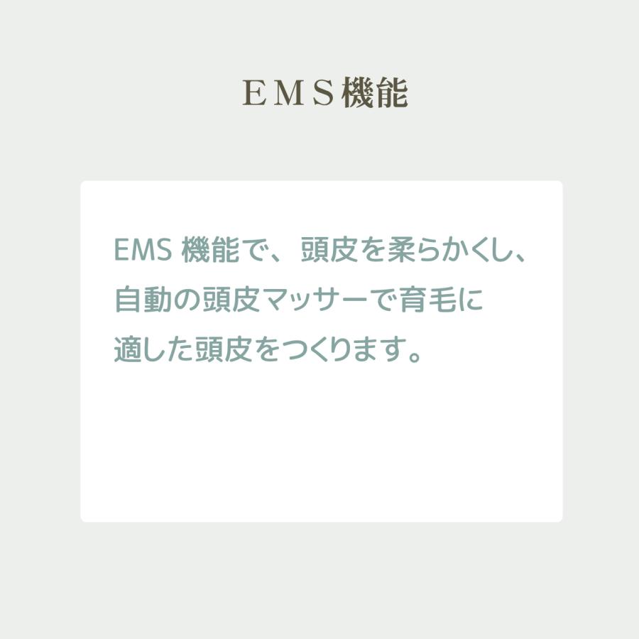 プロ仕様の育毛エステ機（電気バリブラシ）プテロへアグロ―（putelo HAIR GLOW） | putelo | 03