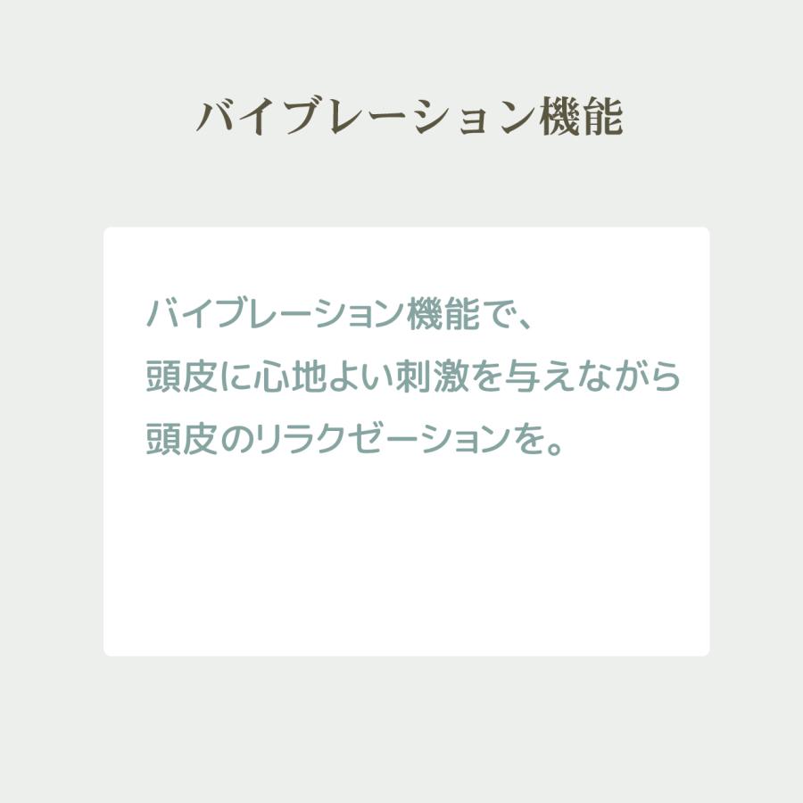 プロ仕様の育毛エステ機（電気バリブラシ）プテロへアグロ―（putelo HAIR GLOW） | putelo | 05