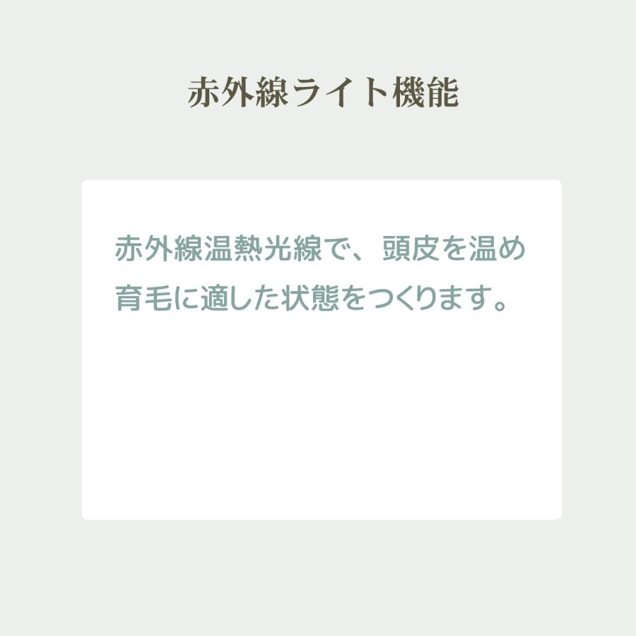 プロ仕様の育毛エステ機（電気バリブラシ）プテロへアグロ―（putelo HAIR GLOW） | putelo | 06
