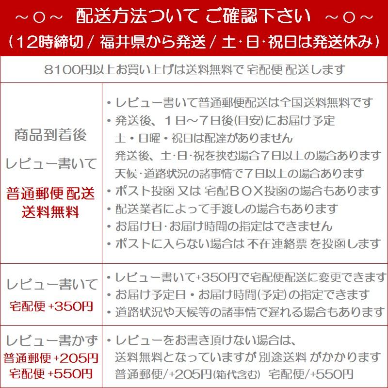 老眼鏡 メンズ レディース おしゃれ シニアグラス シンプル 携帯用 男性 女性 コンパクト 軽い スリム メガネケース付き フチ 縁 なし リーディンググラス FV｜re-colle｜18