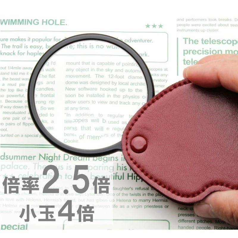 ルーペ 大きい おしゃれ ハンド 拡大鏡 保護ケース付 大型 倍率2.5倍