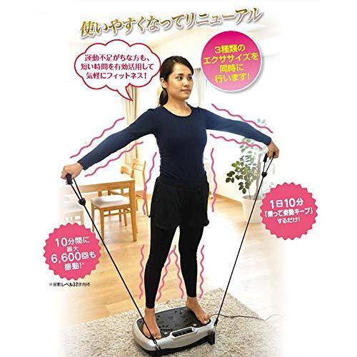 ライフフィットトレーナー 2Way 振動マシン 