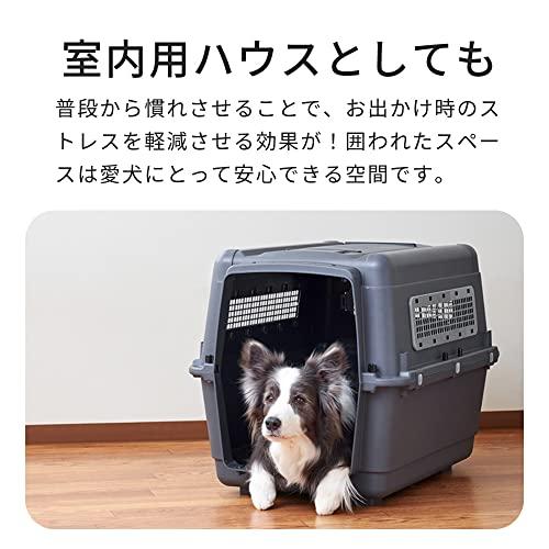 【OFT】 ペットケンネル ファーストクラス ブラックエディション L80 【外寸】幅56.5×奥80×高59cm 重量(約):7.6kg キ 国際空輸送協会 の安全基準をクリア ポリプロピレン製で丈夫なハードタイプ ペットが中からイタズラしづらいロック機能付き扉