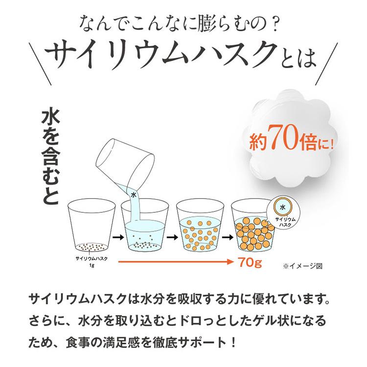 デルスカット 30包  2パック 29%OFF ダイエット サプリメント 乳酸菌 腸活 食物繊維 穀物酵素 吸着