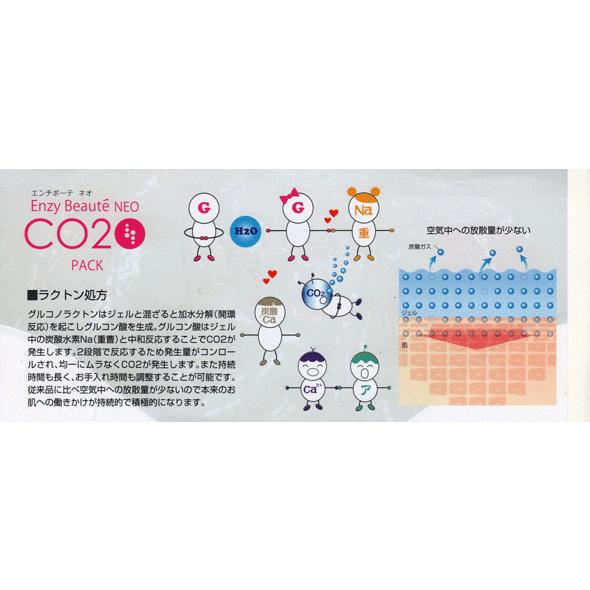 高濃度炭酸ガスパック リンゴ果実幹細胞エキス 海藻成分 ラクトン処方