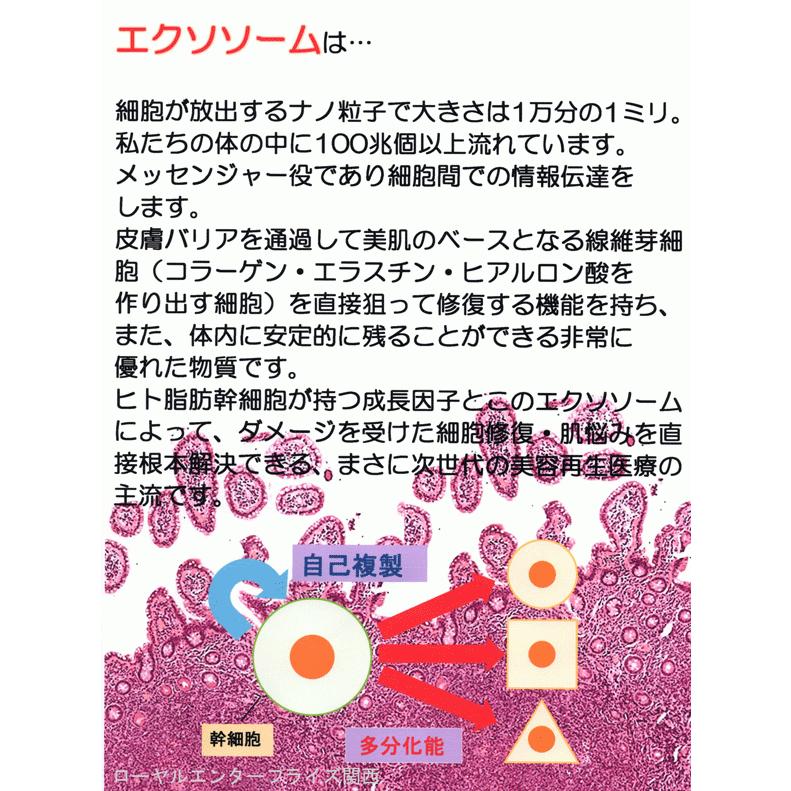 １０％OFF国産ヒト幹細胞ＳＣＪエクソソーム配合　化粧水・美容液・クリームセット　_18