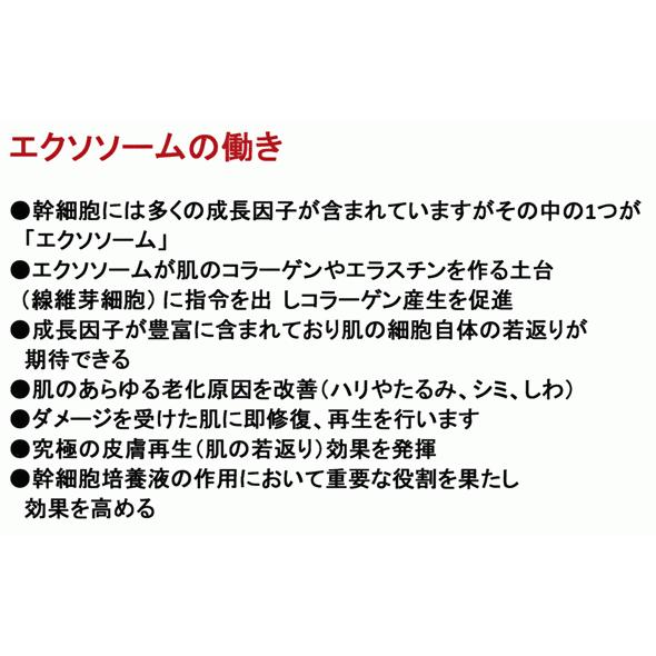 ５％OFF 国産ヒト幹細胞ＳＣＪエクソソーム配合 美容液+クリームの画像