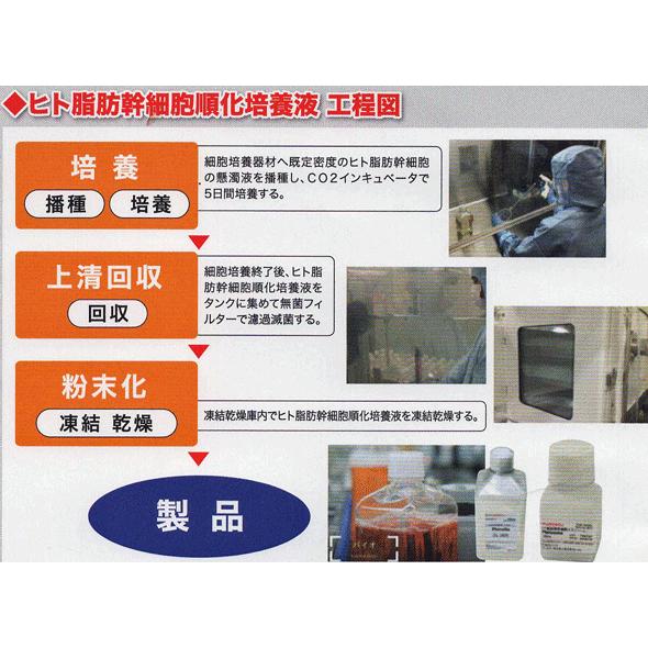 ５％OFF 国産ヒト幹細胞ＳＣＪエクソソーム配合 美容液+クリームの画像
