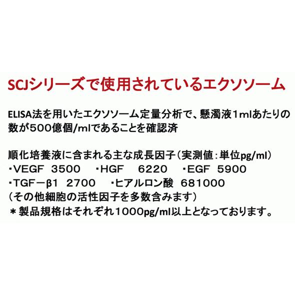 ５％OFF国産ヒト幹細胞ＳＣＪ　エッセンス2本　エクソソーム配合 ヒト脂肪間質細胞エクソソーム スピルリナマキシマエキス