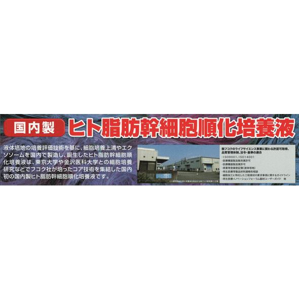 ５％OFF 国産ヒト幹細胞ＳＣＪ 美容液+クリームの画像