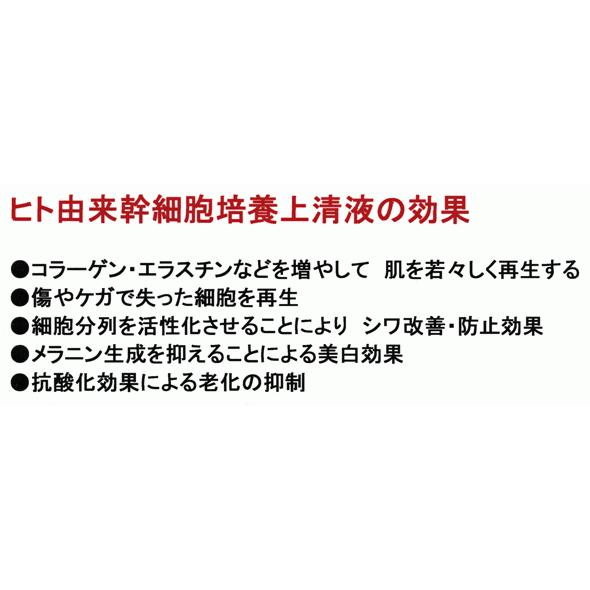 ５％OFF 国産ヒト幹細胞ＳＣＪ 美容液+クリームの画像