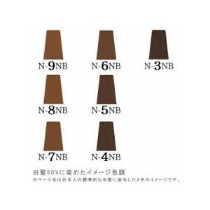 美容師様限定 ナプラ (napla) ナシード カラー グレイファッション (1