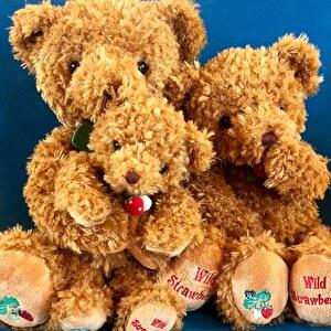 ワイルドストロベリーベア ブラウン L 約50cm テイクオフ ぬいぐるみ