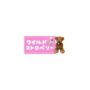 ワイルドストロベリーベア ピンク Mサイズ 約40cm テイクオフ