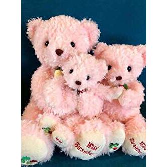 ワイルドストロベリーベア ピンク Mサイズ 約40cm テイクオフ