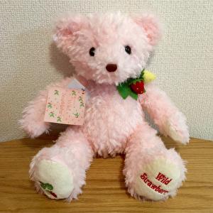 ワイルドストロベリーベア ピンク Mサイズ 約40cm テイクオフ