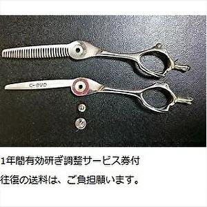 HIKARI 光 ヒカリシザー GENJI JUNIOR ゲンジ ジュニア 524 5.5インチ