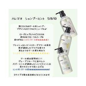 送料無料/2本セット デミ ハレマオ シャンプー ミント 5 500ml ポンプ式トリートメント500g ポンプ 式 ＨＡＬＥＭＡ‘Ｏ 男女兼用アイテム BC-T｜re-kuru｜04