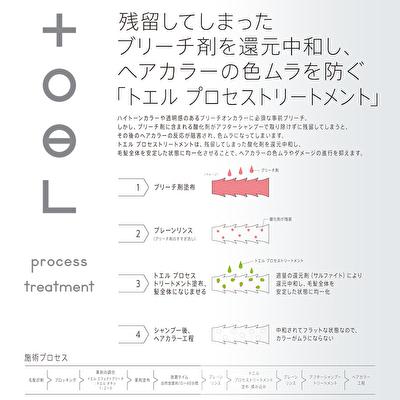 インターコスメ トエル プロセストリートメント 700g ボトル BC-M V-1