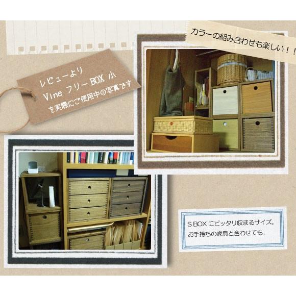 日本製 収納ボックス ヴァイン Vine 2L＆3L 引き出し カラーボックス