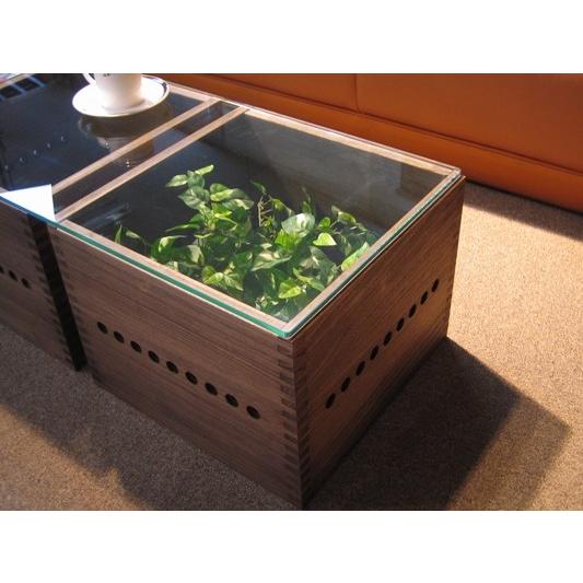 インド製木製ガラストップテーブル ○Vine ヴァイン ガラストップローテーブル（L BOX ×2/ガラス