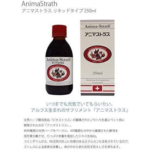 アニマストラス リキッド 250ml 犬 猫 小鳥などの小動物用 ペット用サプリメント バランスフード 正規品 うさぎ ハムスター フェレット 小動物 日本ビーエフ｜re-life｜02